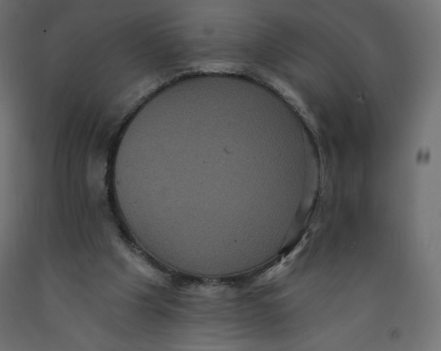 X0000092320201200710121529