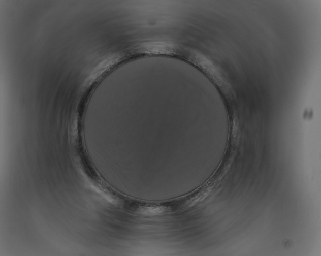 X0000092320202200710121529