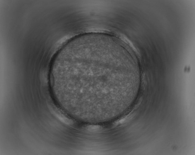 X0000092320203200710121529