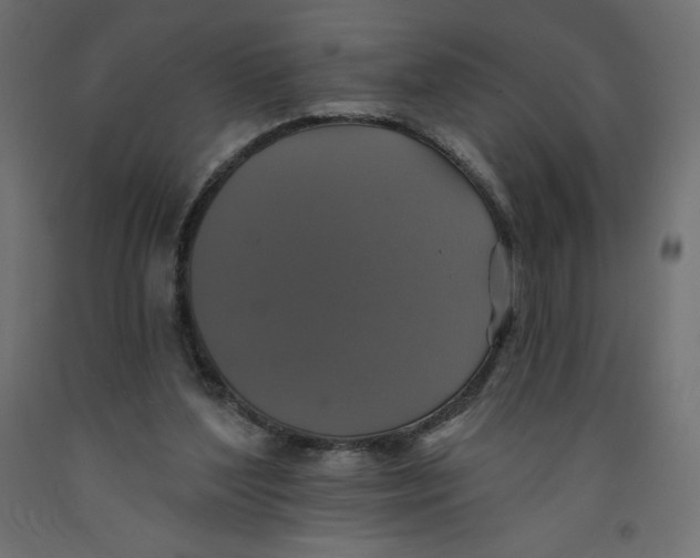 X0000092320204200710121529