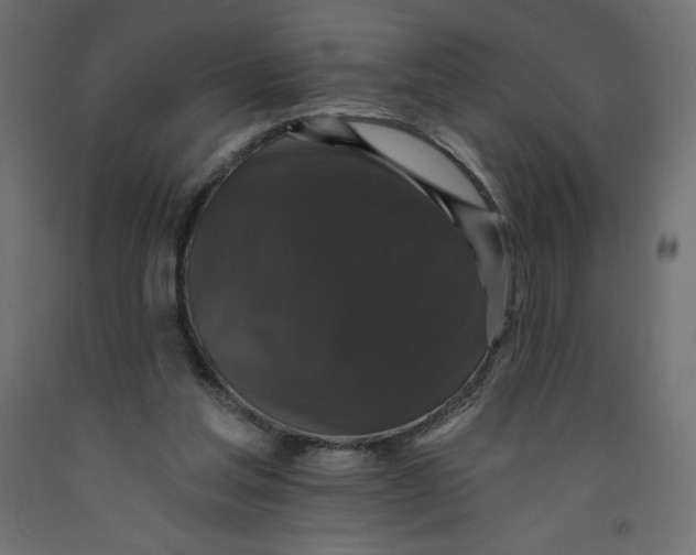 X0000092320205200710121529