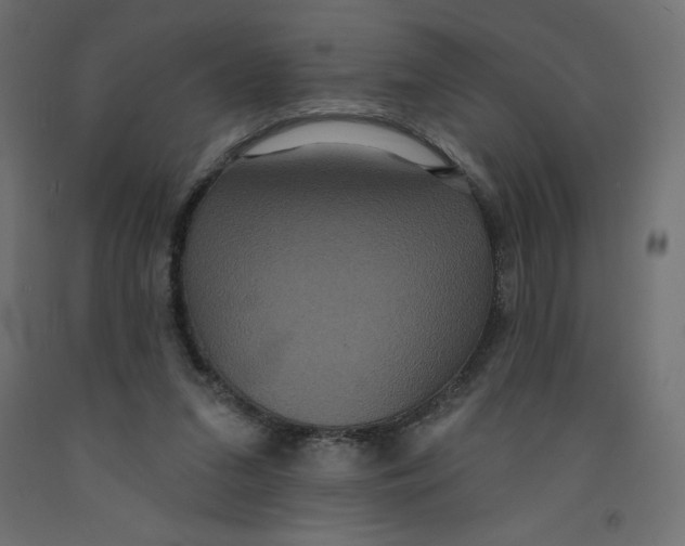 X0000092320207200710121529