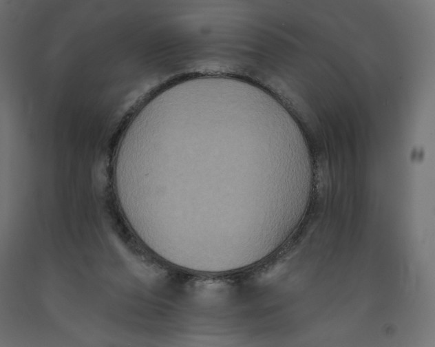 X0000092320208200710121529