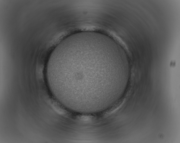 X0000092320209200710121529