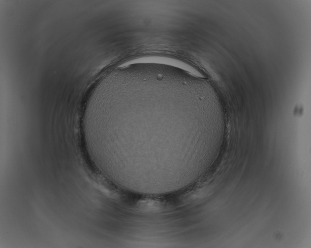 X0000092320211200710121529