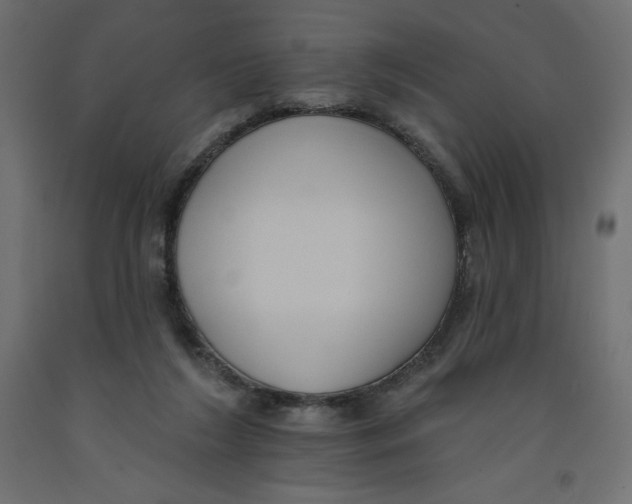 X0000092320212200710121529
