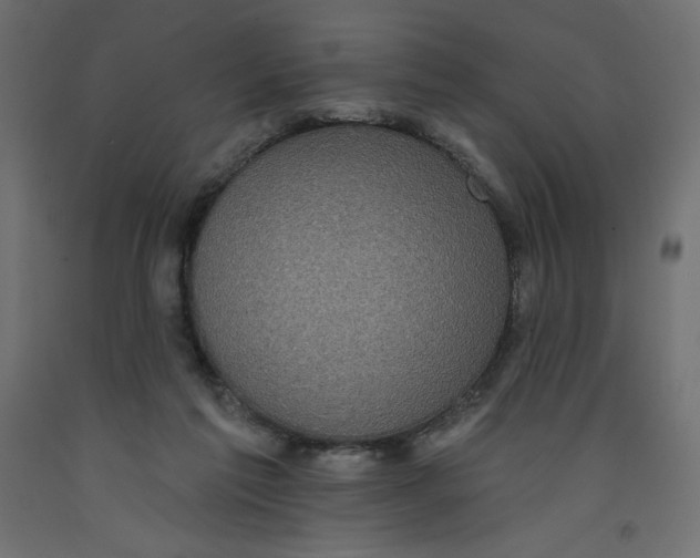 X0000092320213200710121529