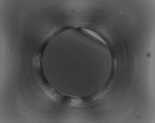 X0000092320214200710121529