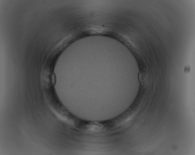 X0000092320215200710121529