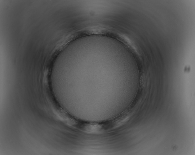 X0000092320217200710121529