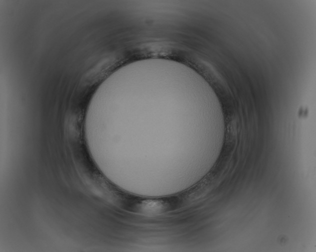 X0000092320218200710121529