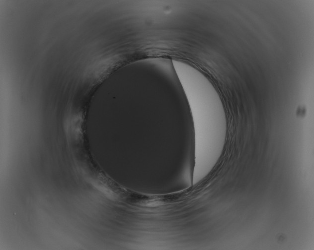 X0000092320219200710121529