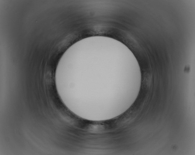 X0000092320220200710121529