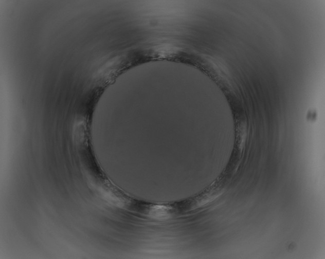 X0000092320222200710121529