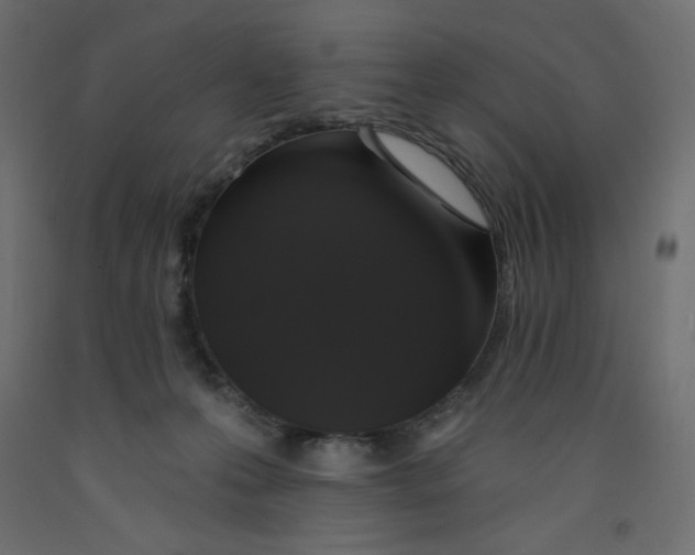 X0000092320223200710121529