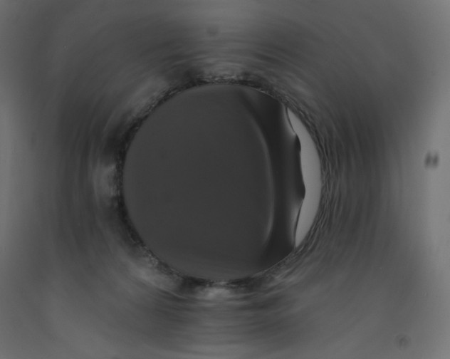 X0000092320224200710121529