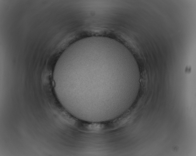 X0000092320225200710121529
