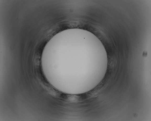 X0000092320226200710121529