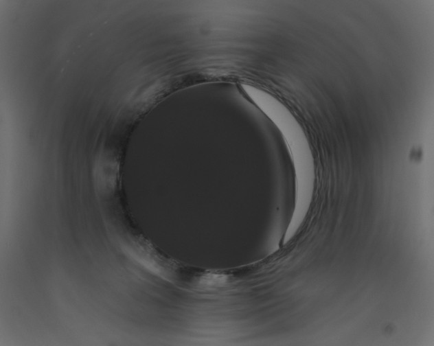 X0000092320227200710121529