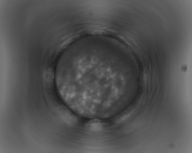 X0000092320228200710121529