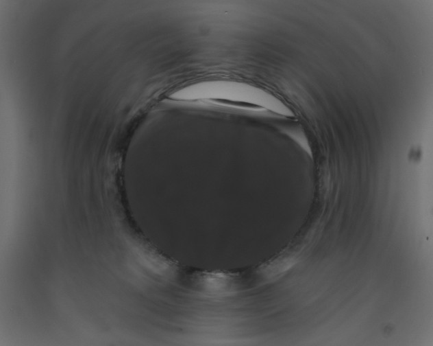 X0000092320229200710121529