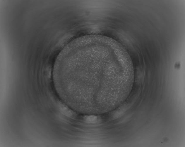 X0000092320230200710121529