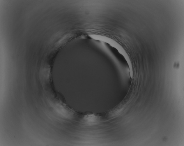 X0000092320231200710121529