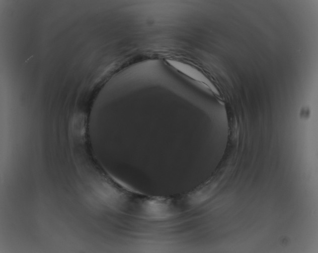 X0000092320232200710121529