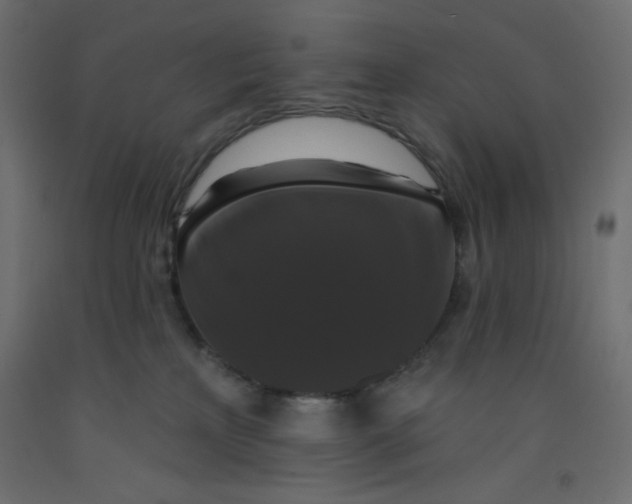 X0000092320233200710121528