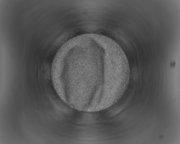 X0000092320234200710121528