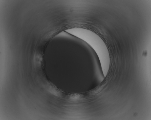 X0000092320235200710121528