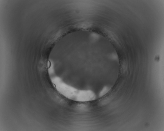 X0000092320236200710121528