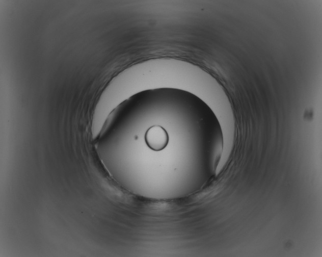 X0000092320237200710121528