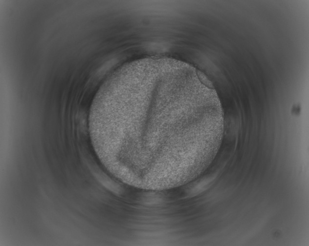 X0000092320238200710121528