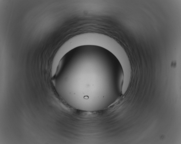 X0000092320239200710121528