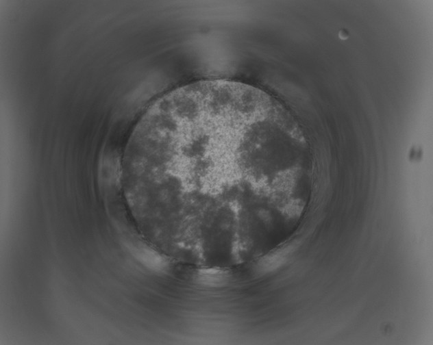 X0000092320240200710121528