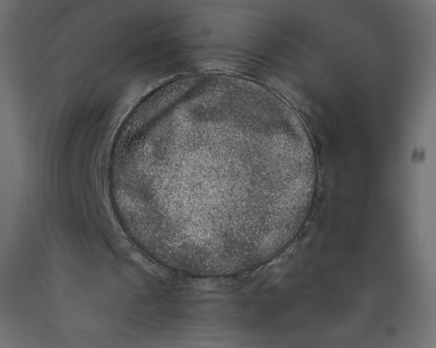 X0000092320241200710121528