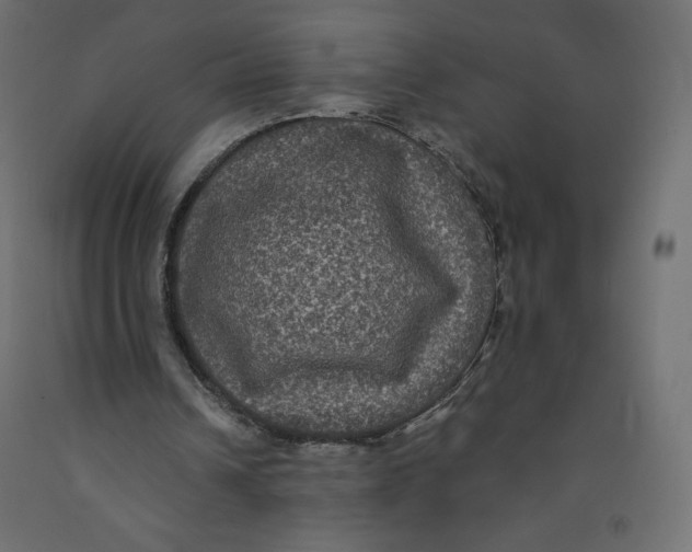 X0000092320242200710121528