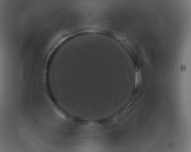X0000092320243200710121528