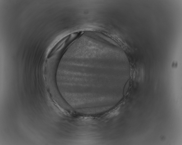 X0000092320244200710121528