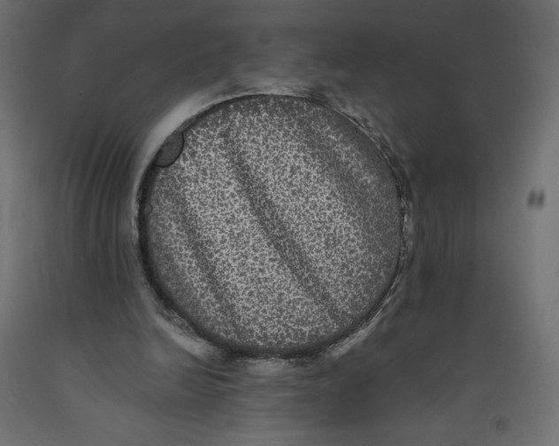 X0000092320246200710121528