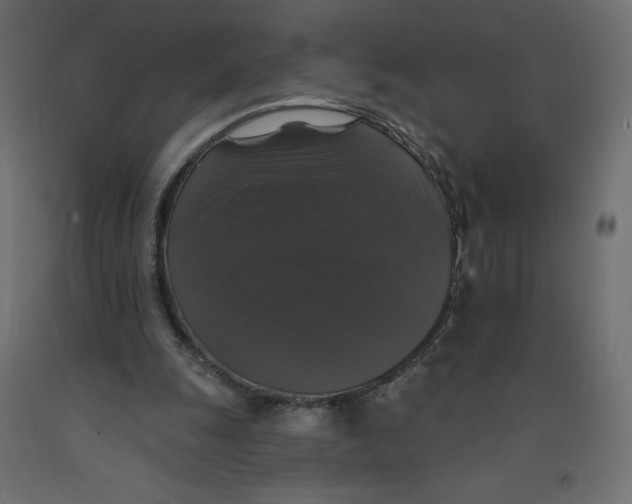 X0000092320247200710121528