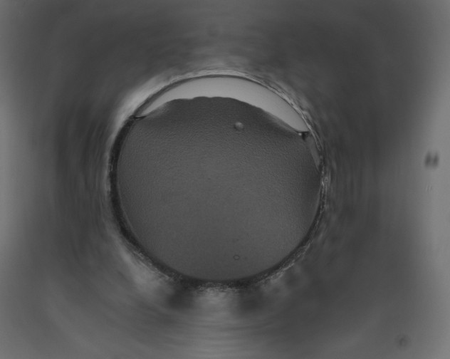 X0000092320248200710121528