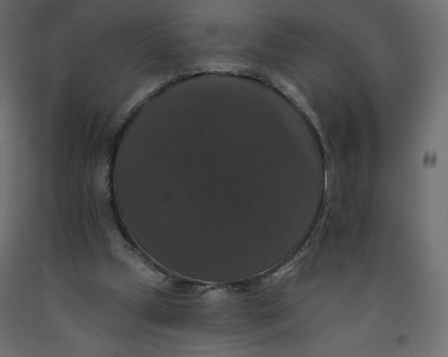 X0000092320249200710121528