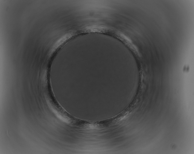X0000092320250200710121528