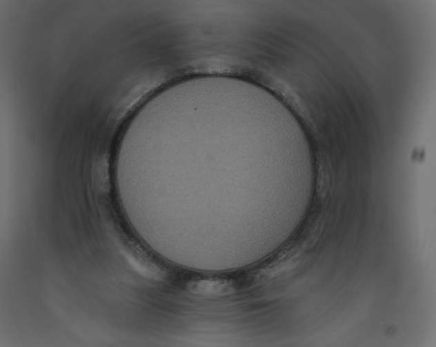X0000092320251200710121528