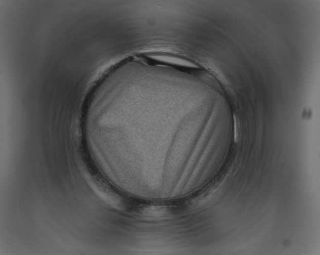 X0000092320252200710121528