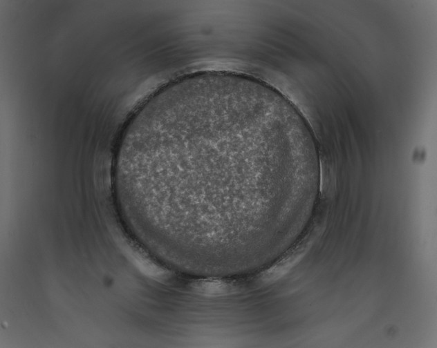 X0000092320253200710121528