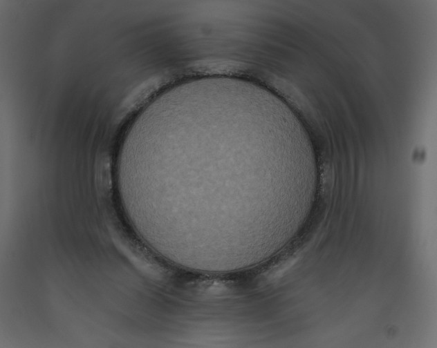 X0000092320254200710121528