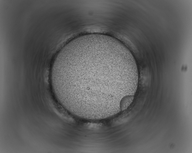 X0000092320255200710121528